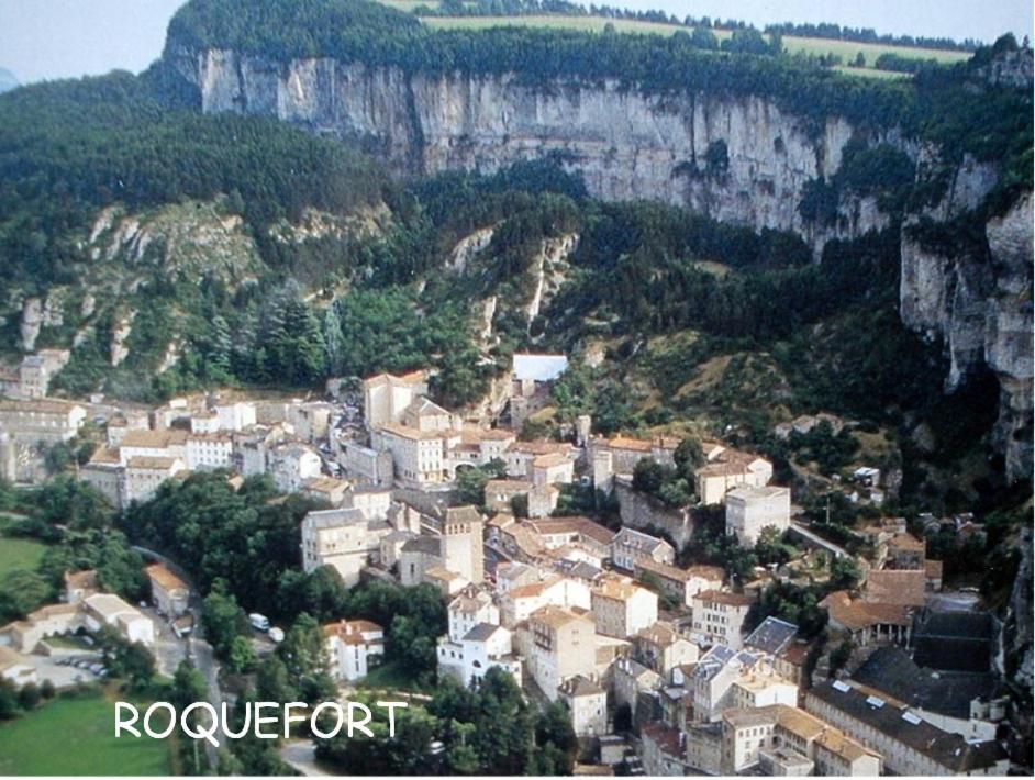 Saint-Rome-de-Tarn Les Palmiers Des Caussesヴィラ エクステリア 写真