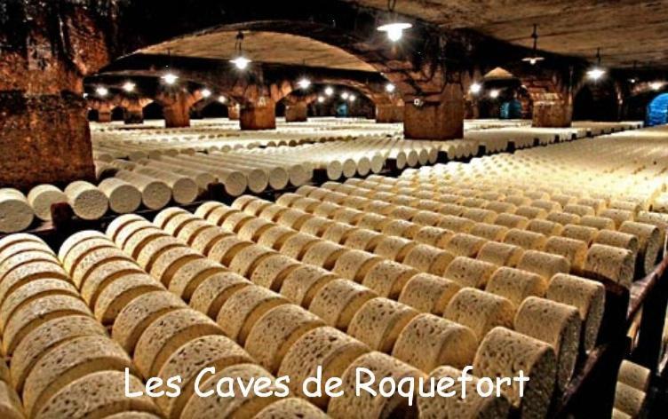 Saint-Rome-de-Tarn Les Palmiers Des Caussesヴィラ エクステリア 写真