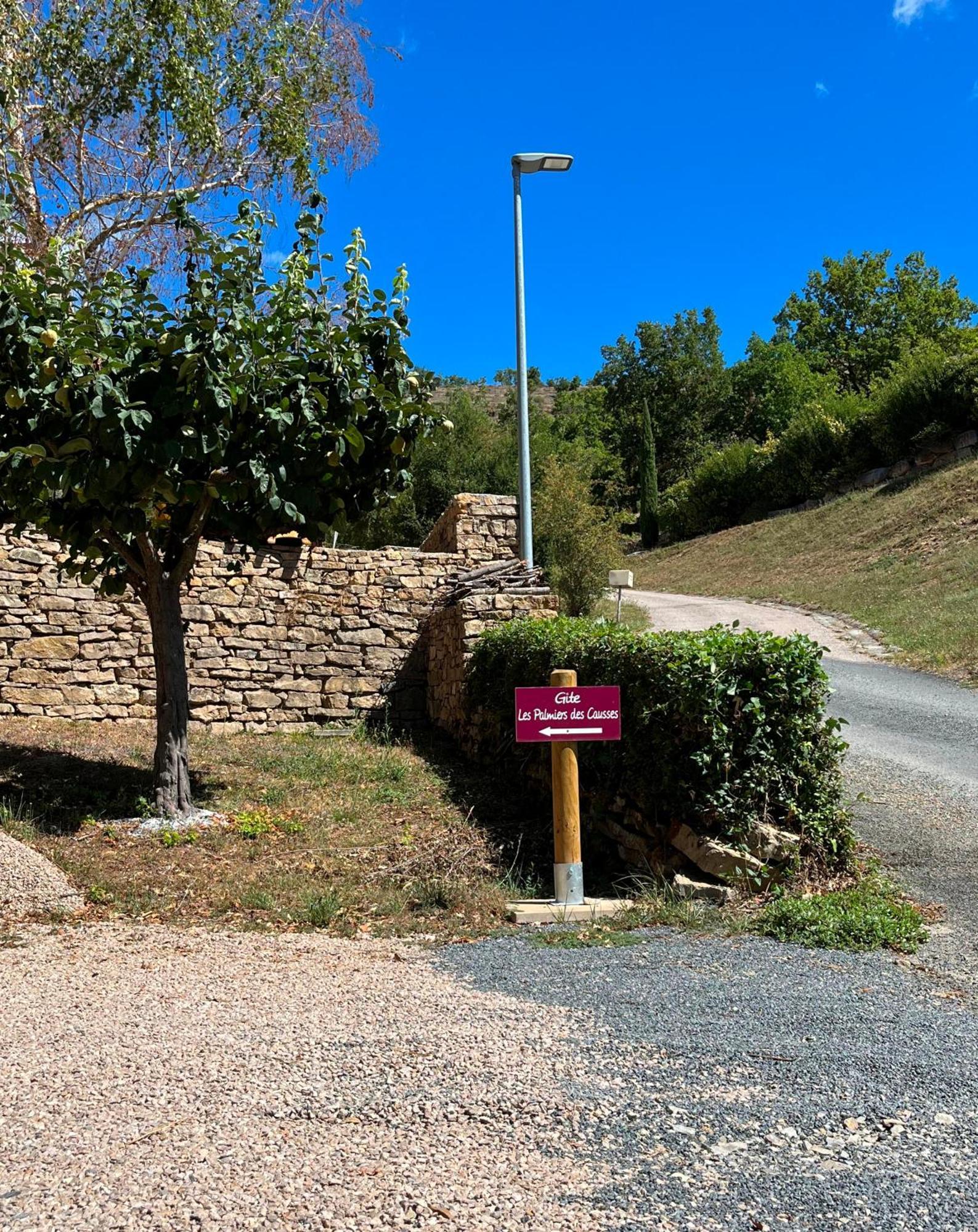 Saint-Rome-de-Tarn Les Palmiers Des Caussesヴィラ エクステリア 写真